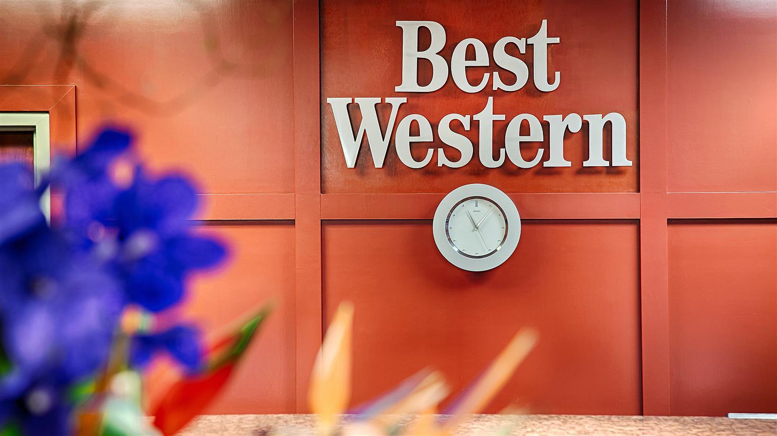 Surestay By Western Medical Center Hotel
